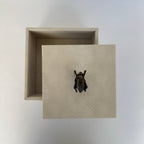 Caja Ortiga Drilo crema con Herraje de Escarabajo