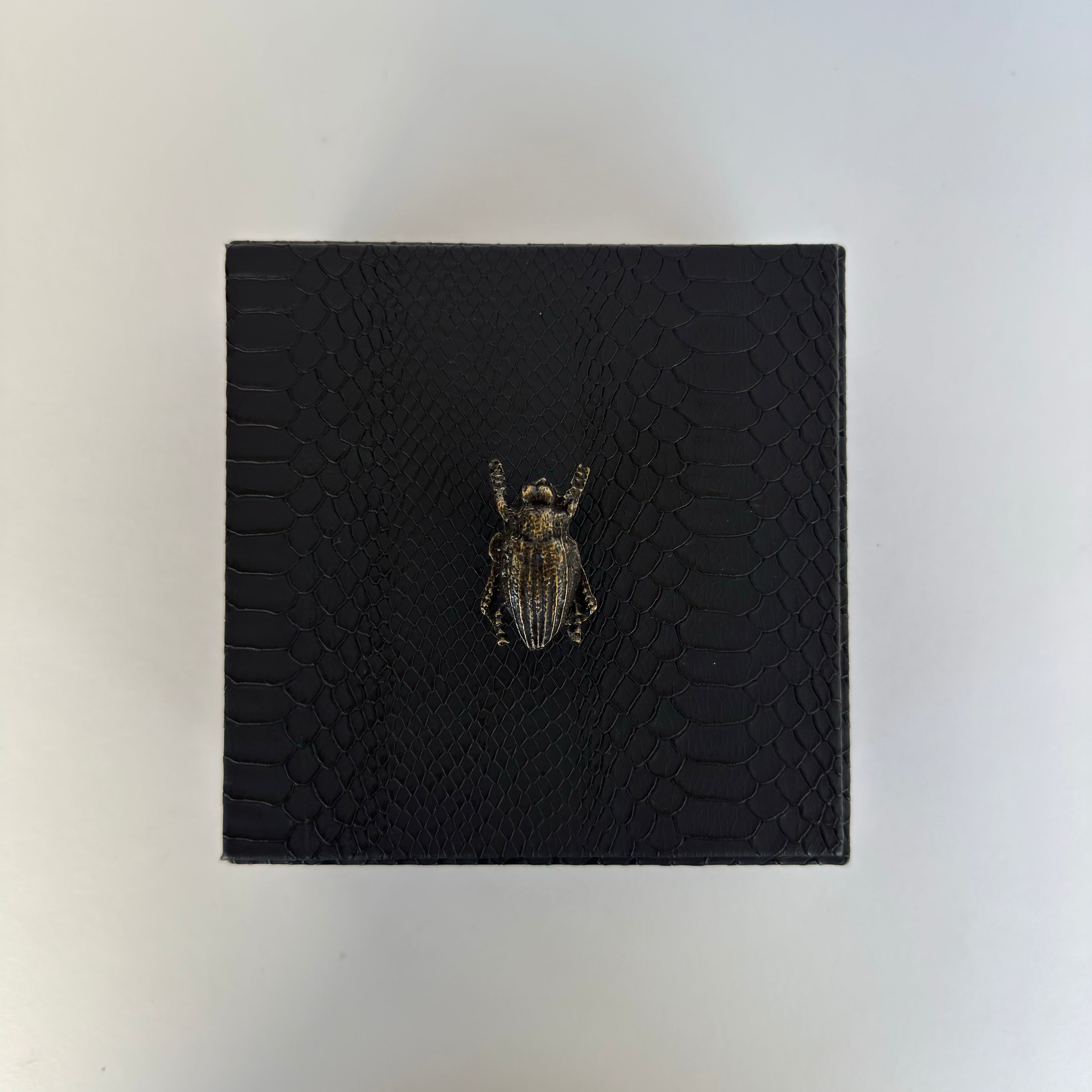 Caja Ortiga  Drilo negro con Herraje de Escarabajo