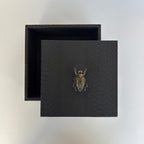 Caja Ortiga  Drilo negro con Herraje de Escarabajo