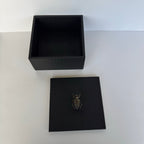 Caja Ortiga  Drilo negro con Herraje de Escarabajo