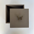 Caja Ortiga Drilo Arena con Herraje de Mariposa