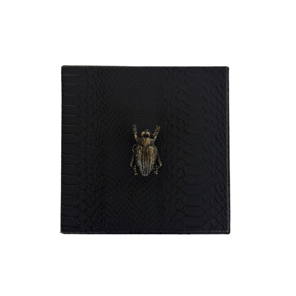 Caja Ortiga  Drilo negro con Herraje de Escarabajo