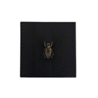 Caja Ortiga  Drilo negro con Herraje de Escarabajo