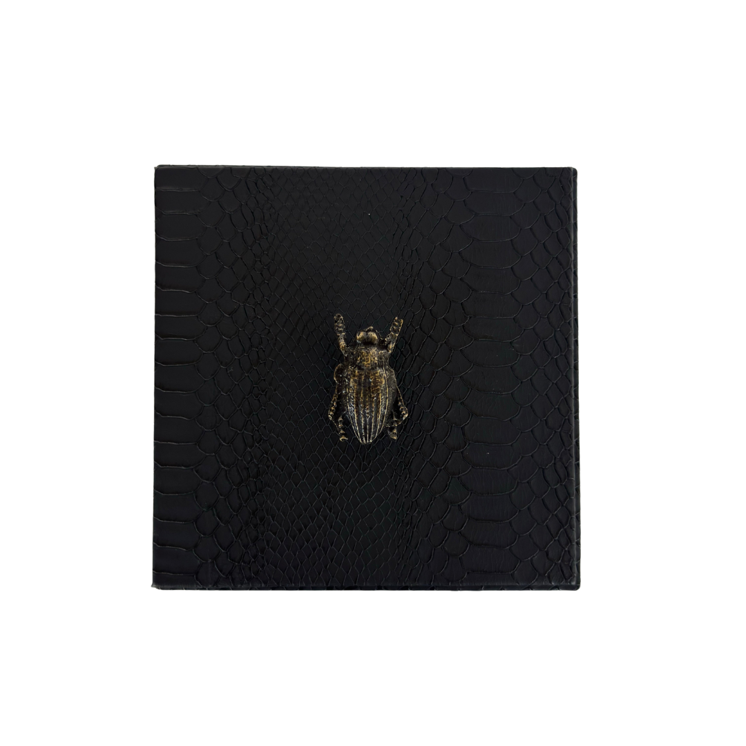 Caja Ortiga  Drilo negro con Herraje de Escarabajo