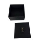 Caja Ortiga  Drilo negro con Herraje de Escarabajo